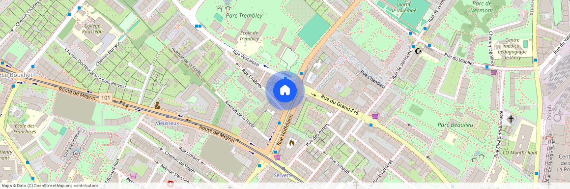 Rue Hoffmann 13, 1202 Genève