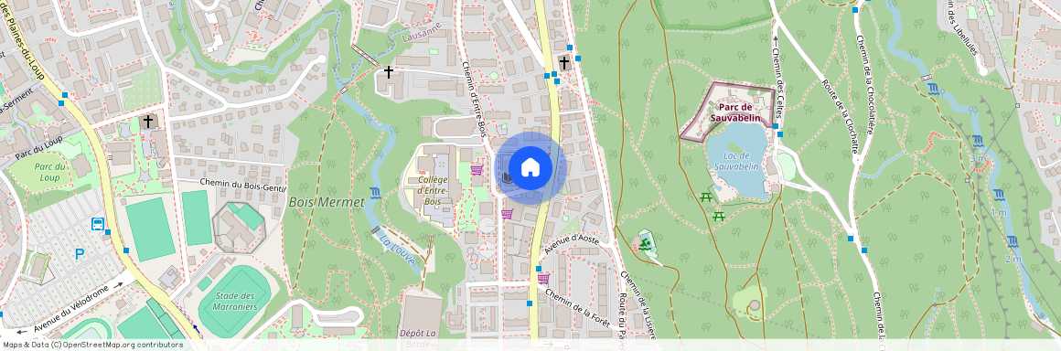 Route Aloys-Fauquez, Lausanne