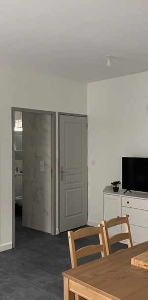 Location Appartement 2 pièces 33 m2 à Saint-Étienne - Photo 1