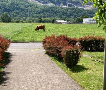 Luminoso 3.5 locali con balcone e parco - Photo 3