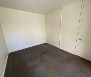 A TRUE WINNER...... - Photo 6