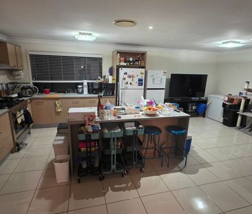 Eight Mile Plains - Photo 4