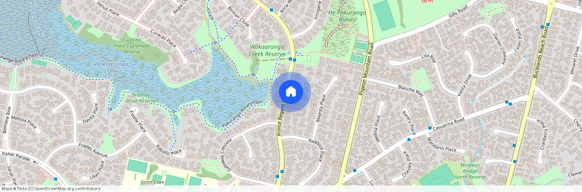 136A Prince Regent Drive, Half Moon Bay, Manukau City