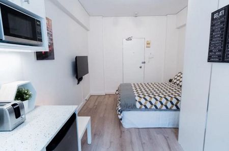 Fully Furnished Studio Apartment - Photo 4