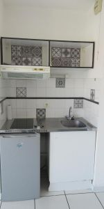 Location Appartement 1 pièce 24m² PERPIGNAN 66000 - Photo 3