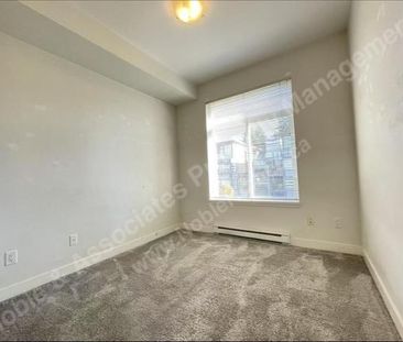 5XXX Kings Road 301 Vancouver_UBC - Photo 2