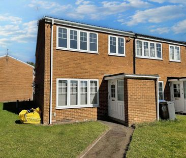 Aldridge Court, Ushaw Moor, Durham, Durham, DH7 7RT - Photo 3