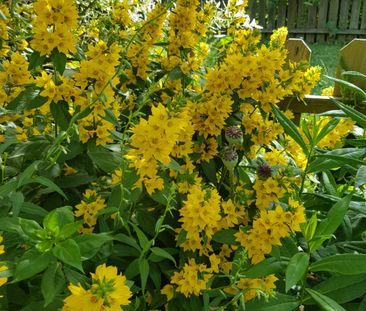 Västergöksvägen, Vällingby - Photo 5