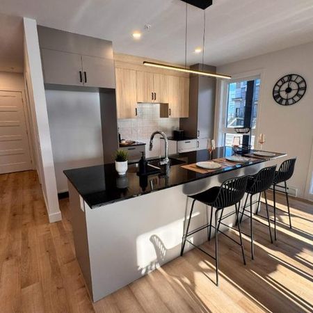 4 1/2 À LOUER - REPENTIGNY - APPARTEMENT À LOUER - Photo 3