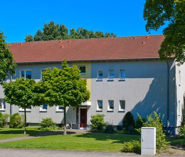 3-Zimmer-Wohnung in Ahlen-Ahlen mieten - Photo 1