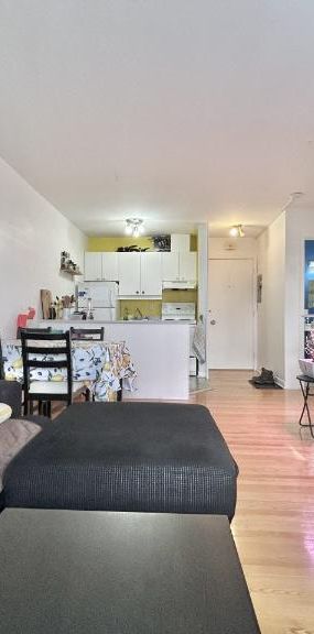 Appartement 3 ½ à louer Sainte-Foy / Sillery septembre 2026 - Photo 1