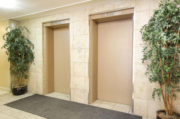 Regency Court Apartments - Speedvale -ALL INCLUSIVE - Photo 1