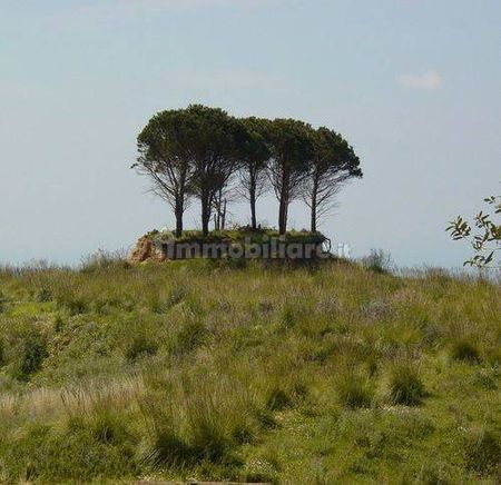 Villa unifamiliare Agriturismo Sant'Anna 89126, Reggio Calabria Reggi, Ortì, Reggio Calabria - Photo 5