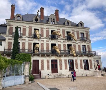 APPARTEMENT F1 / STUDIO MEUBLE A LOUER EN COURTE DUREE - A BLOIS - ... - Photo 6