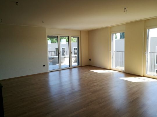 Rent a 4 ½ rooms apartment in Romanshorn - Photo 1