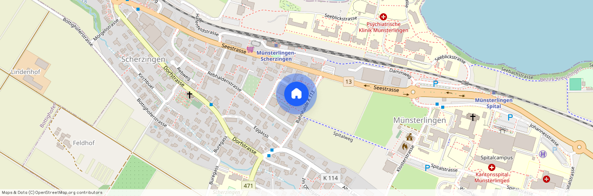 8596, Scherzingen, Luggenackerstrasse, 1