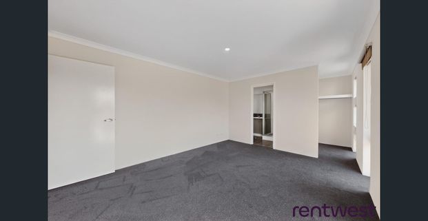 Freshly Painted & Brand New Carpets - Photo 1