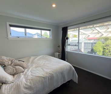 Pet Friendly - Photo 4