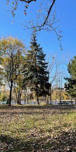 4,5 (1chambre) RÉNOVÉ dans un quartier Paisible - Libre Immédiatement - Photo 4