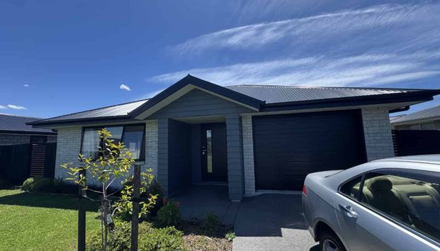 Warm, Welcoming & Wonderfully Modern - Photo 1