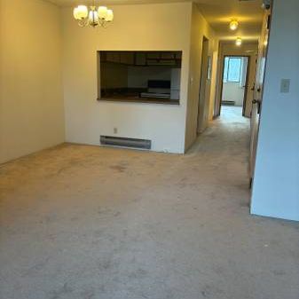 1-Bedroom Apartment 7 minutes from the Centre of Campus - Photo 4