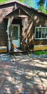 house in lac supérieur foe rent - Photo 4