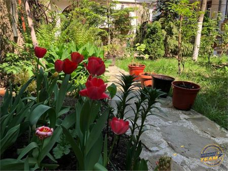 In gradina eleganta, o perla imobiliara, Centrul Istoric Brasov - Fotografie 4
