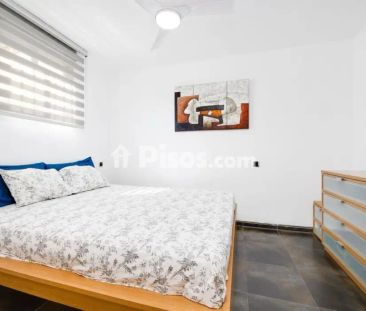 Apartamento en alquiler en Torrevieja - Foto 4