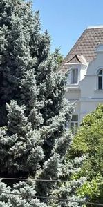 Elegante Altbauetage mit Klopfbalkon - Photo 1
