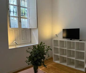 Apartamento de alquiler en Calle Cardenal Spínola, 6, San Vicente - Photo 3