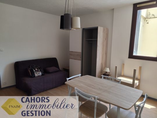 Location Appartement 1 pièce 24m² CAHORS 46000 - Photo 1