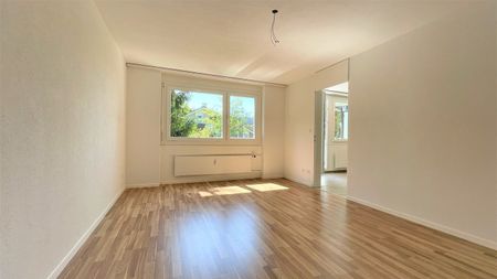 Rent a 5 ½ rooms apartment in Rorschacherberg - Foto 5