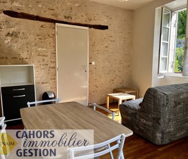 Location Appartement 2 pièces 26m² CAHORS 46000 - Photo 3
