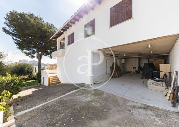 Ground floor apartment for rent in Palmanova