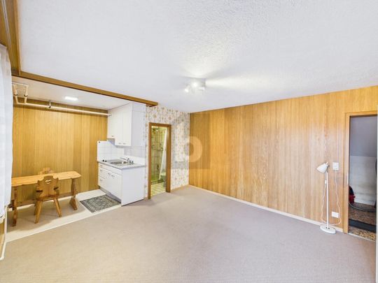 LIGHT-FLOODED WITH LOTS OF SPACE FOR CREATIVITY - Photo 1