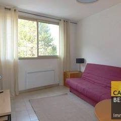 Location Appartement 1 pièce 26m² GRENOBLE 38000 - Photo 1