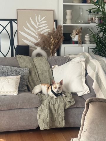 Weetangera - Photo 2