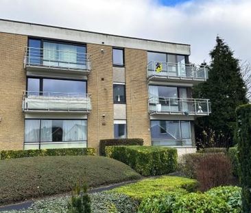 Huis te huur in Brugge - Photo 4