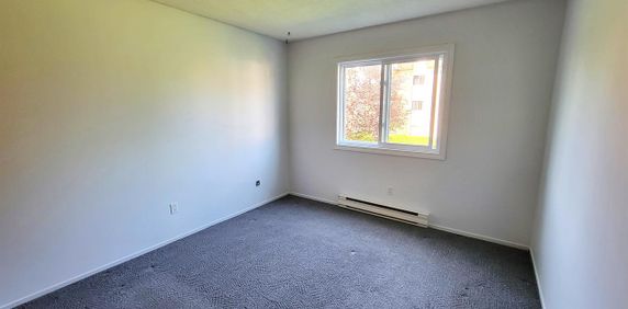 45 Rue Du Curé-André-Préseault (Gatineau) Grand Logement 1 Chambre - Photo 2