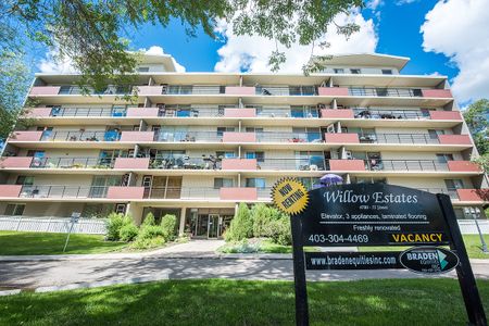 Willow Estates - Photo 4