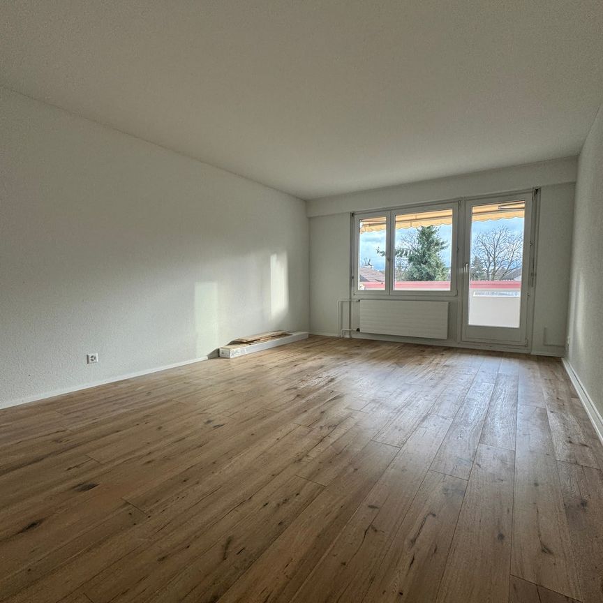 3 Zimmer, 76 m², 2. Stock - Foto 1