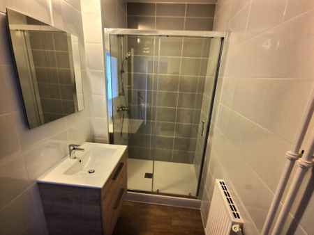 Location Appartement 1 pièce 38m² CLERMONT FERRAND 63000 - Photo 5