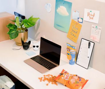 Signature Studio Apartment View - Photo 5