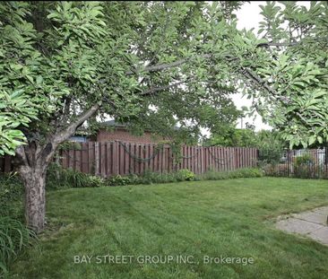 For Lease - 457 Windhurst Gate Unit# Bsmt, Richmond Hill, Ontario - Photo 2