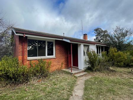 17 Dooring Street, Dickson ACT 2602 - House For Rent | Domain - Photo 3