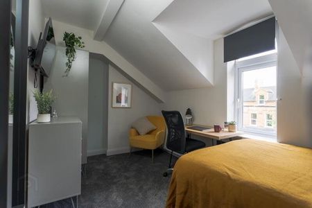 Delhi Street, Delhi Street, Belfast, BT7 3AL - Photo 4