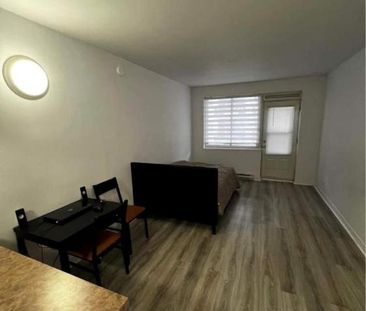 GHETTO MCGILL- STUDIO RENOVÉ & MEUBLÉ- EMPLACEMENT EXCEPTIONNEL - Photo 1