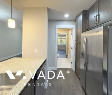 1 Bedroom Apartment For Rent in Port Coquitlam - Photo 5