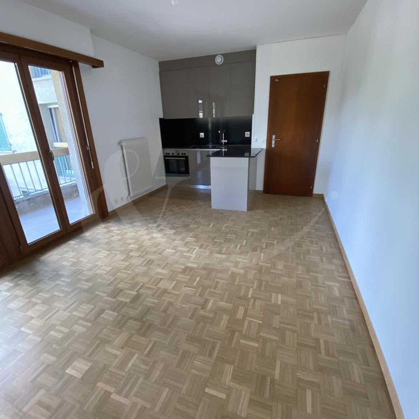 Route D'hermance 139, joli appartement rénové de 2 pièces - Foto 1
