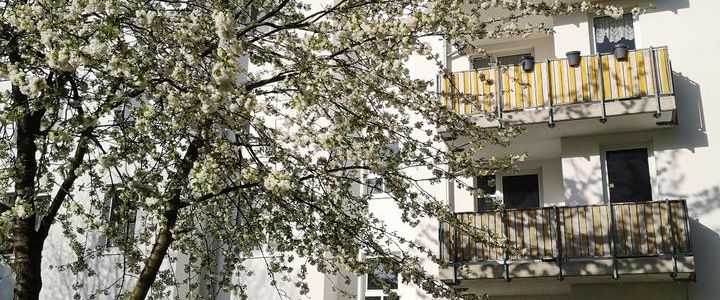 Sonnige 2-Raumwohnung im Schloßcarrée mit Süd-Westbalkon - Photo 1